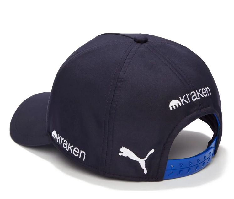 Williams Racing 2025 Team Hat